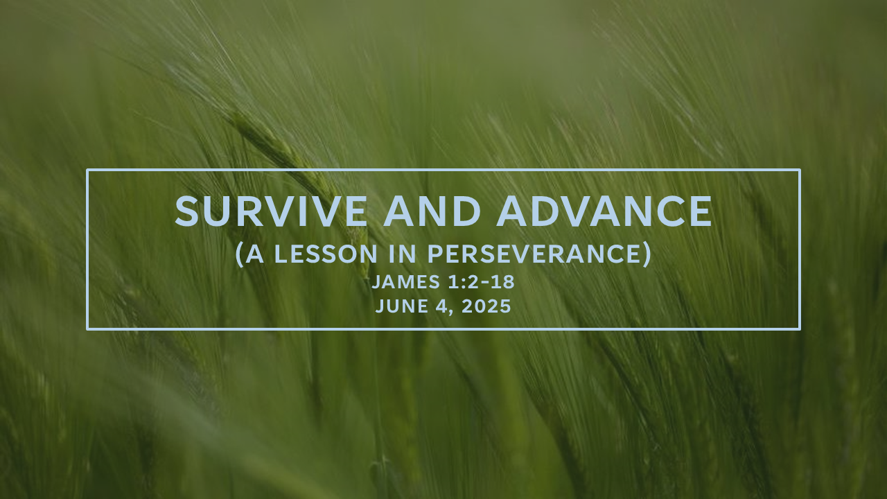 The Message (Week of June 4, 2025)